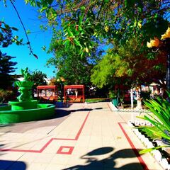 Temblor en Chile hoy, 15 de agosto: de cuánto fue, epicentro y en qué regiones se sintió el sismo