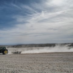 Una mujer da un giro radical de su vida hacia la agricultura y recibe críticas: “Me llamaban la ‘diva”