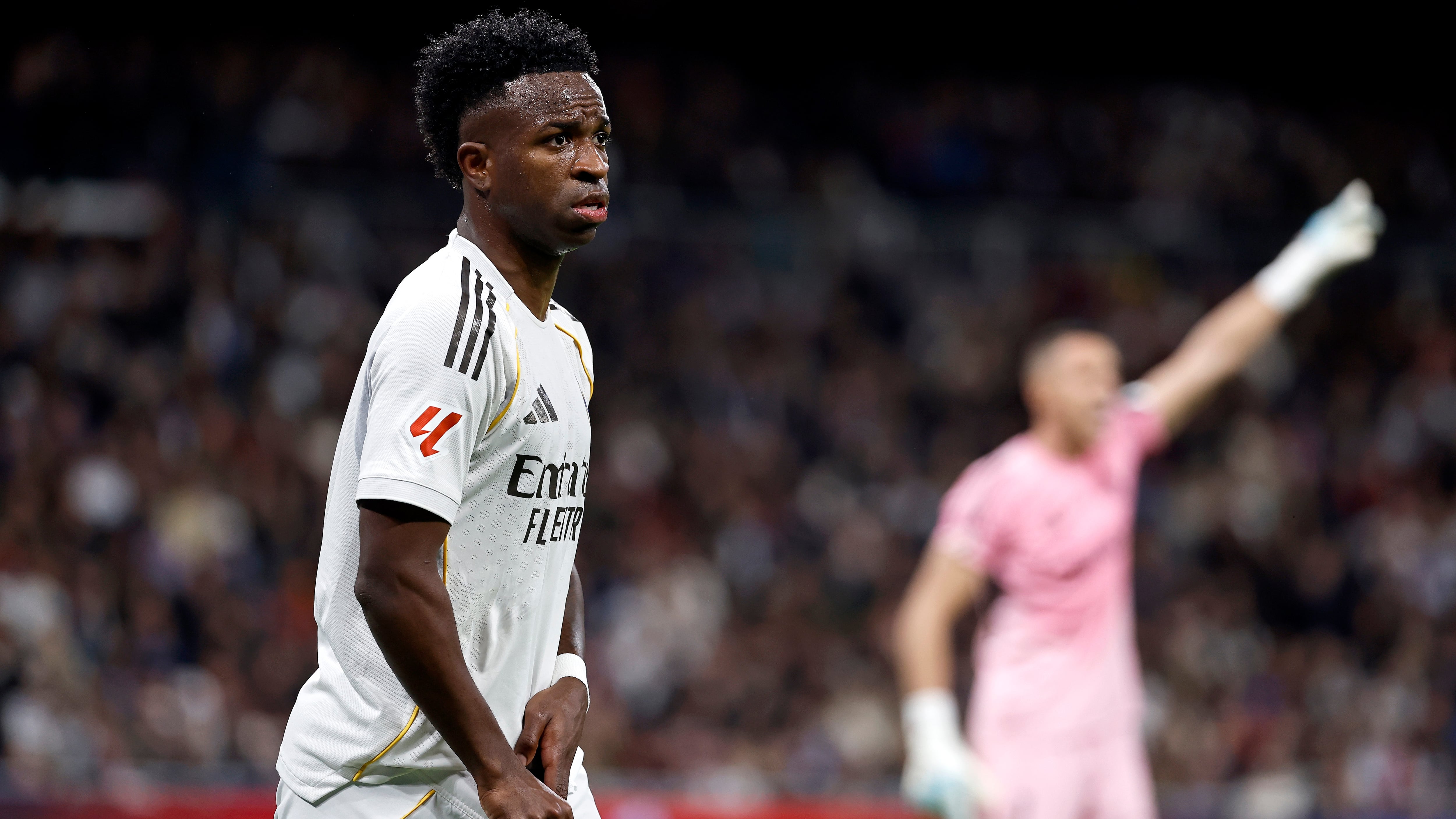 El elefante en la habitación de Vinicius