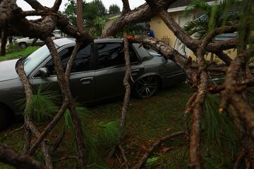 Un árbol yace sobre un automóvil después de que el huracán Milton llegara a Lakewood Park, cerca de Fort Pierce, en el condado de St. Lucie, Florida.