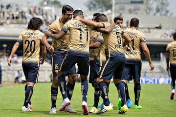 Los auriazules llegaron a la Primera División para la temporada 1962-1963 y desde entonces no han abandonado la categoría. Los Pumas se han consagrado como uno de los equipos más importantes del fútbol mexicano gracias a sus títulos y a su gran masa social, identificada con la máxima casa de estudios del país: la Universidad Nacional Autónoma de México. Siete campeonatos de liga, el más reciente en el Clausura 2011, y tres de Concacaf decoran sus vitrinas.
