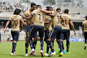 Los auriazules llegaron a la Primera División para la temporada 1962-1963 y desde entonces no han abandonado la categoría. Los Pumas se han consagrado como uno de los equipos más importantes del fútbol mexicano gracias a sus títulos y a su gran masa social, identificada con la máxima casa de estudios del país: la Universidad Nacional Autónoma de México. Siete campeonatos de liga, el más reciente en el Clausura 2011, y tres de Concacaf decoran sus vitrinas. 
