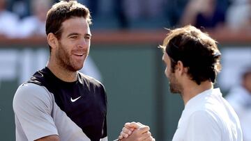 Del Potro y Federer podrían reencontrarse en otra final