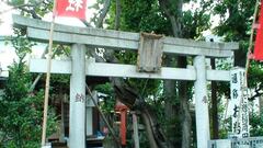 Imágenes de Mitewa Ikenai