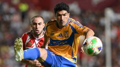 ¿Nicolás Ibáñez, out?