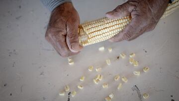 Here’s how you can get the best out of your corn on the cob this summer.