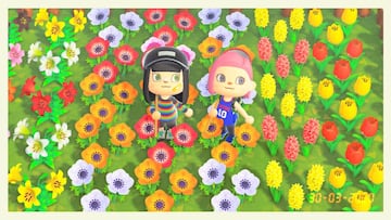 Todas las flores de Animal Crossing: New Horizons, híbridas y más
