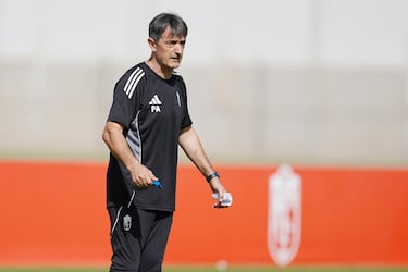 El Virus FIFA invita al Granada a buscar otro portero