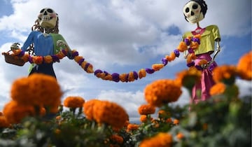 La curiosa flor brillante conocida como "Flor de Cempasúchitl" de color naranja y amarillo viene del náhuatl y guía el alma de los difuntos.