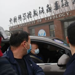 La OMS: "Hay un eslabón perdido" entre la transmisión del murciélago al hombre