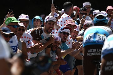 Thomas de Gendt se llevó la victoria en la etapa 8 del Tour de Francia. Julian Alaphilippe es el nuevo líder de la general y los colombianos se mantienen en el top 15 de la clasificación. 