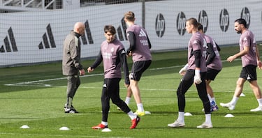 12 días en busca de luz