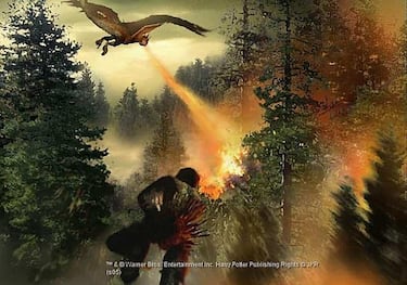 Harry Potter y el Cáliz de Fuego