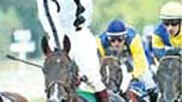 José L. Martínez, 600 victorias