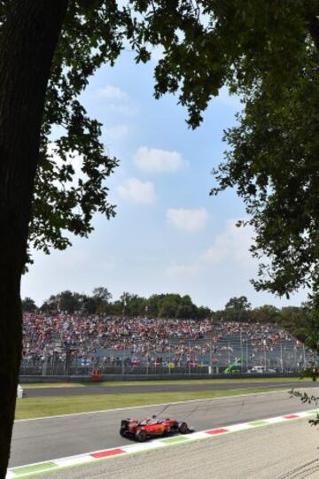 Sebastian Vettel.