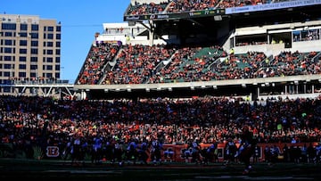 Así son las tripas de los Cincinnati Bengals