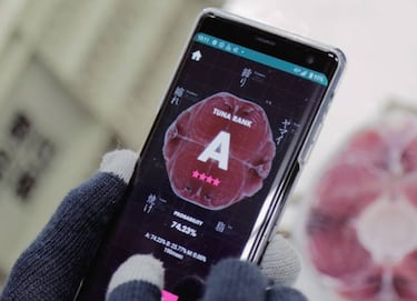 Medir la calidad del atún para Sushi con el móvil: Tuna Scope app