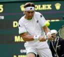 Ferrer y Verdasco ya están en cuartos de final de Wimbledon