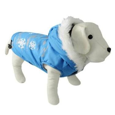 Complementos y ropa para perros: abrígalo este invierno