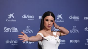 La cantante Blanca Paloma posa en la alfombra roja previa a la gala de la 37 edici¨®n de los Premios Goya, en el Palacio de Congresos y Exposiciones FIBES, a 11 de febrero de 2023, en Sevilla, Andaluc¨ªa (Espa?a). La Academia celebra la calidad del cine espa?ol con la entrega de los Premios Goya, los m¨¢s importantes del cine espa?ol, a los mejores profesionales de cada una de las especialidades t¨¦cnicas y creativas. A lo largo de su historia, la Academia ha reconocido con el Goya, o con su nominaci¨®n, el trabajo tanto de t¨¦cnicos, profesionales an¨®nimos para el gran p¨²blico, como de grandes estrellas espa?olas e internacionales.
12 FEBRERO 2023
Eduardo Parra / Europa Press
11/02/2023