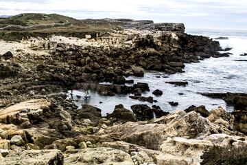 La Vaca. Cueto, Santander, Cantabria.