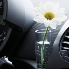 Por qué los automóviles equipaban floreros en el interior