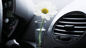 ¿Por qué los automóviles equipaban floreros en el interior?