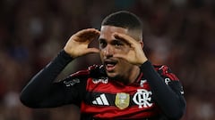 Protección para Lino