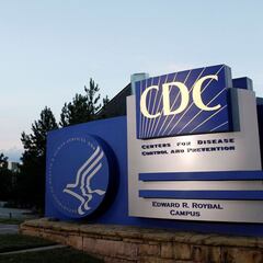 Coronavirus in the US: how many variants have there been?