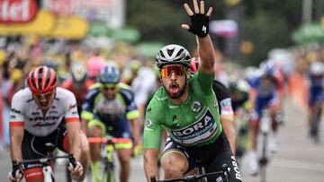 Slovakia's Peter Sagan, wearing the best sprinter's green jersey, celebrates as he crosses the finish line to win the 13th stage of the 105th edition of the Tour de France cycling race, between Le Bourg-d'Oisans and Valence, on July 20, 201