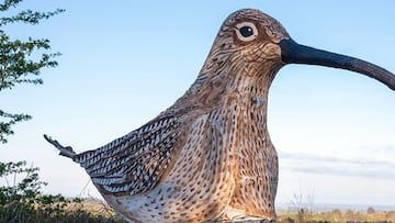 Un hombre camina 85 kilómetros disfrazado de pájaro gigante para sorpresa de los lugareños: “Fue un poco impactante”