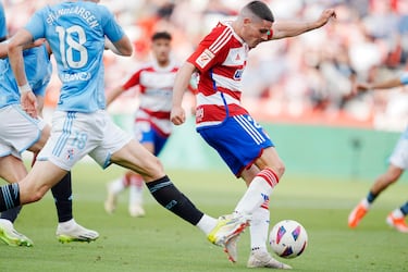 Aprobados y suspensos del Granada: triste adiós para Antonio Puertas