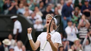 The Serb is looking to win Wimbledon for the eighth time, but the young Italian will try to pull off the upset.