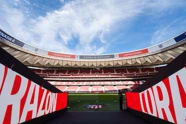 El Metropolitano será el hogar de los Dolphins en Madrid