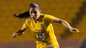 La jornada 1 del Clausura 2019 de la Liga MX Femenil fue testigo de el surgimiento de nuevas goleadoras; Lizbeth Ovalle de Tigres lidera el campeonato de goleo.