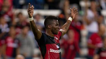 Después de que los paquidermos se ganaran una liga más ante Platense, estos no dejan de sumar talento alrededor de Fito Zelaya.
