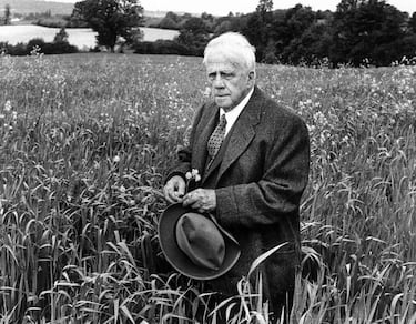 Robert Frost, poeta: “Puedo resumir todo lo que he aprendido sobre la vida en tres palabras”