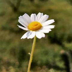 Casillas: "Si, no, si, no... Llegan decisiones que hay que tomar"