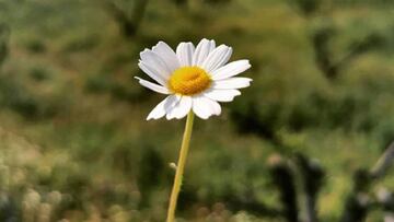 Casillas: "Si, no, si, no... Llegan decisiones que hay que tomar"