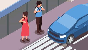 Crossing Road Rules Set