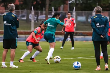 Luego de la victoria ante Paraguay, la Selección Femenina de Brasil volvió a trabajos de campo en la cancha de la Universidad Industrial de Santander, esta vez con miras a la gran final de la Copa América Femenina ante Colombia.