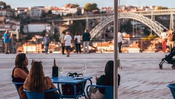 Todo iba genial para unos españoles en Oporto hasta que una gaviota decide arruinarles el día: “Si no lo grabas, no te cree nadie”