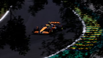 Formula One F1 - Sao Paulo Grand Prix - Autodromo Jose Carlos Pace, Sao Paulo, Brazil - November 1, 2024 McLaren's Lando Norris during practice REUTERS/Amanda Perobelli