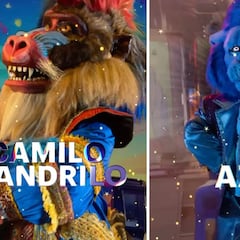 ¿Quién es la Máscara? 2024: conoce la identidad de los personajes eliminados hoy 1 de diciembre 2024