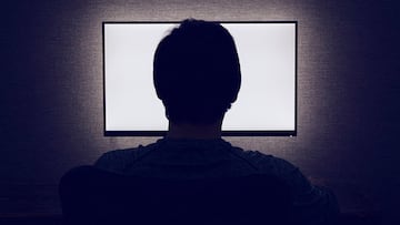 Televisor espía