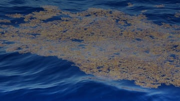 It's the size of a continent and setting off alarm bells due to its potential to emit greenhouse gases. The most unsettling part? It isn’t caused by humans.