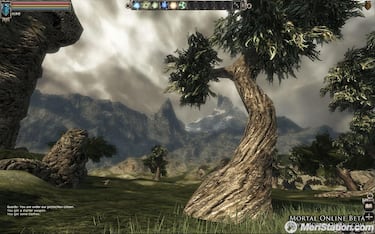 Mortal Online, Impresiones