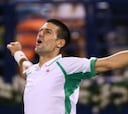 Djokovic y Berdych se dan cita en la final del torneo de Dubai