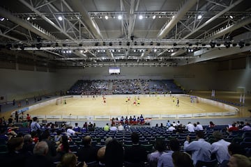 Es una disciplina deportiva de equipos que se practica en pista cubierta con unas reglas muy parecidas al hockey sobre hielo, y que consiste en intentar marcar goles en la portera contraria. 