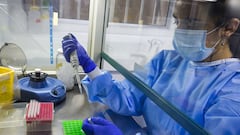 Segundo retiro 10% AFP y coronavirus: resumen casos y muertes - 13 de noviembre